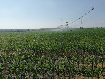 Imagen de Qualityplant situado en Lleida, Lleida