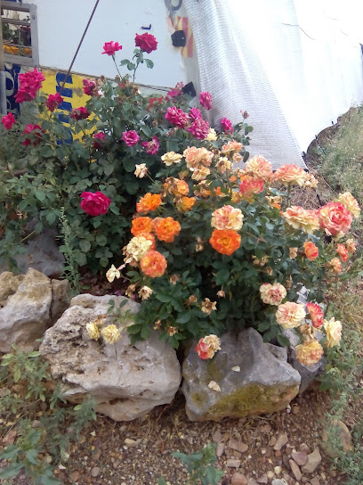 Imagen de Quercus Jardinería situado en Mainar, Zaragoza