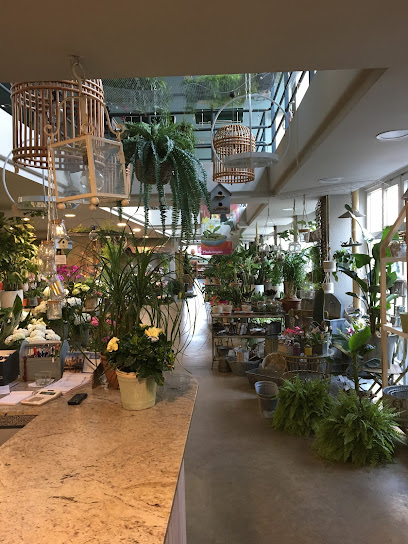 Imagen de Rebolledo Floristería y Centro de Jardinería en Santander situado en Santander, Cantabria