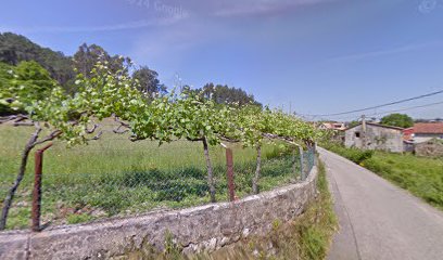 Imagen de Riegos y Jardines del Noroeste situado en Gondomar, Pontevedra