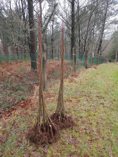 Imagen de Río queiro s.l. situado en Os Carballos, A Coruña