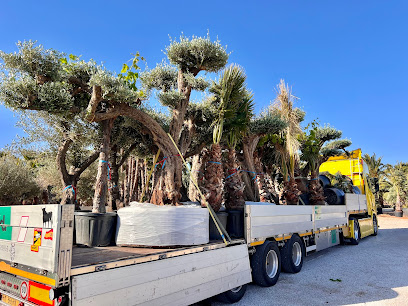 Imagen de RyD Costa Daurada S.L. situado en Elche, Alicante