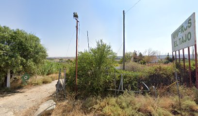 Imagen de S A T N 5546 Centro De Jardinería El Tajo situado en Toledo, Toledo