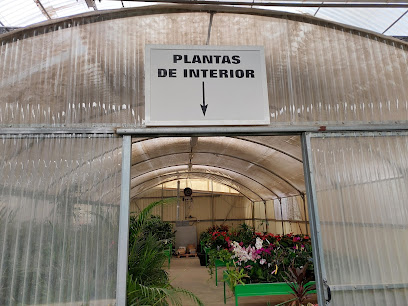 Imagen de SEMILLEROS PLANTIAGRO, S.L. situado en Puerto Lumbreras, Murcia