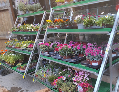 Imagen de Saüc Jardineria situado en Olot, Girona