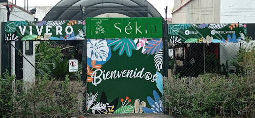 Imagen de Sékla Vivero Boutique situado en León de los Aldama, Guanajuato