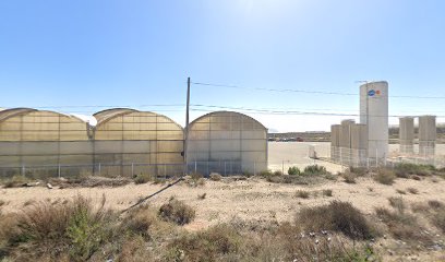 Imagen de Semillero Laimund S.L. Delegacion EL 21 situado en Almería, Almería