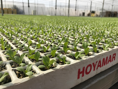 Imagen de Semilleros Hoyamar situado en La Hoya, Murcia