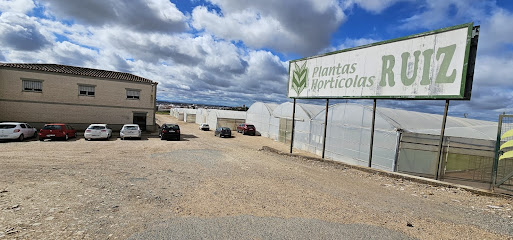 Imagen de Semilleros en Montijo Ruiz situado en Montijo, Badajoz