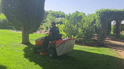 Imagen de Seyma Endoterapia Vegetal situado en Dénia, Alicante