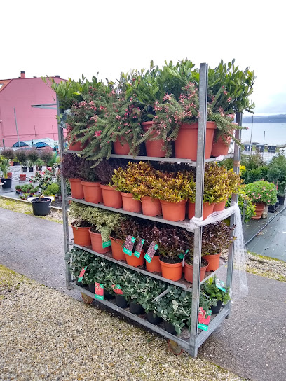 Imagen de TERRAS situado en Seixo, Pontevedra