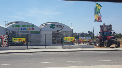 Imagen de TREBOL GARDEN situado en Port de Sagunt, Valencia