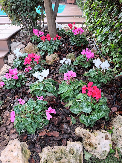 Imagen de TRESJARDINERS SL situado en Cerdanyola del Vallès, Barcelona