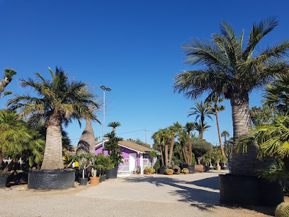 Imagen de TROPIPALMS, S.L. situado en Tarragona, Tarragona