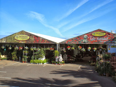 Imagen de Tacoronte Garden situado en Tacoronte, Santa Cruz de Tenerife