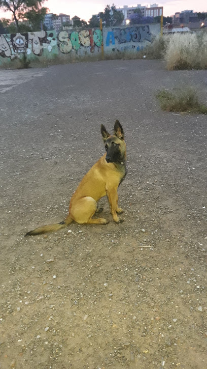 Imagen de Talher S.A. situado en Castellón de la Plana, Castellón