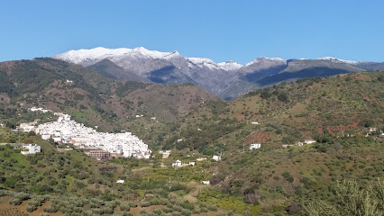 Imagen de Tolox Agrícola S C A situado en Tolox, Málaga