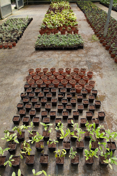 Imagen de Trébore Jardinería (Padrón) situado en Padrón, A Coruña