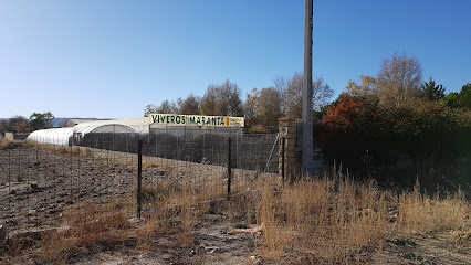 Imagen de VIVERO MARANTA situado en La Colilla, Ávila