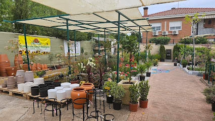 Imagen de VIVERO MARIETA situado en Calypo Fado, Toledo