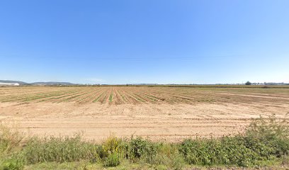 Imagen de VIVEROS CANOS SL situado en Don Benito, Badajoz