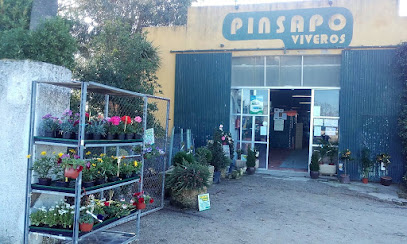 Imagen de VIVEROS EN CÁCERES PINSAPO situado en Cáceres, Cáceres