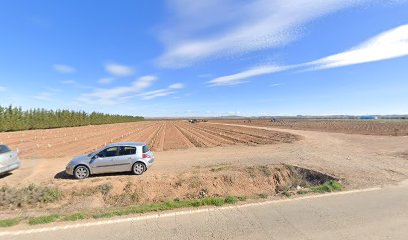 Imagen de VIVEROS FRUTARIA LIFE situado en Alfamén, Zaragoza