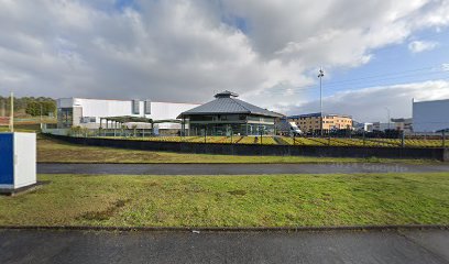 Imagen de VIVEROS LAMIGUEIRO SL situado en Carral, A Coruña