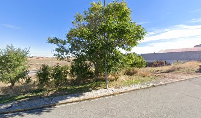 Imagen de VIVEROS LLORENTE situado en La Lastrilla, Segovia