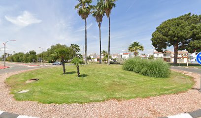 Imagen de VIVEROS OLOCAU situado en Marines, Valencia