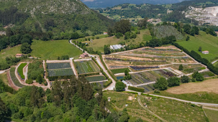 Imagen de VIVEROS PUENTE VIESGO situado en Aés, Cantabria