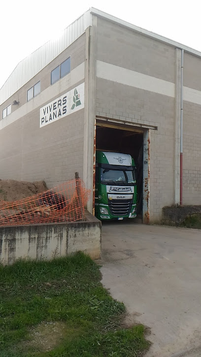 Imagen de VIVERS PLANAS S.L - OFICINA - situado en Celrà, Girona