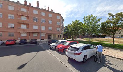 Imagen de Valdebusto Obras Y Plantaciones S L situado en Valladolid, Valladolid