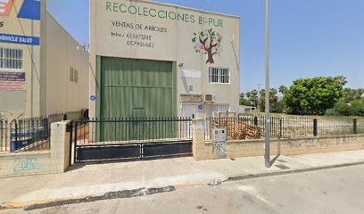 Imagen de Venta de plantones situado en Bigastro, Alicante