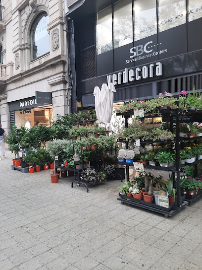 Imagen de Verdecora situado en Barcelona, Barcelona