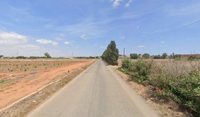 Imagen de Vima Plantes situado en Torrent, Valencia