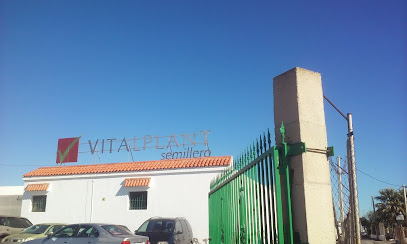 Imagen de Vitalplant situado en San Isidro, Almería