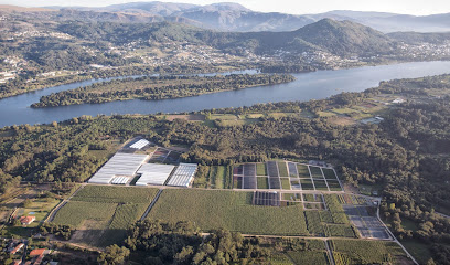 Imagen de Viveiros Río Tollo situado en Tomiño, Pontevedra