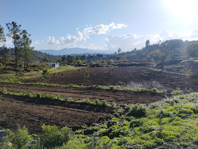 Imagen de Viveiros florestáis do Oveiro situado en Óvoa, nan