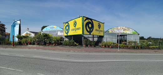 Imagen de Vivergreen Paisajismo situado en Avilés, Asturias