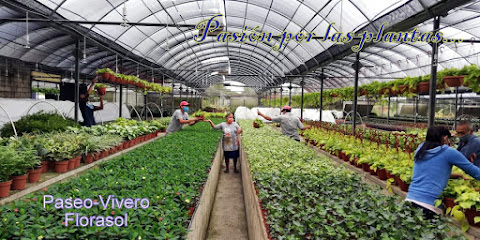 Imagen de Vivero & Eventos Paseo Florasol/Finca San José Armenia situado en Palencia, nan