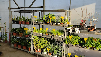 Imagen de Vivero Agrocampanillas situado en Málaga, Málaga