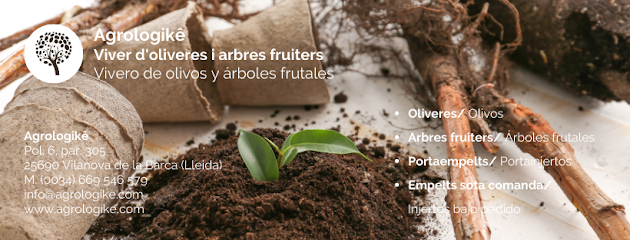 Imagen de Vivero Agrologikê | Olivos y árboles frutales situado en Vilanova de la Barca, Lleida