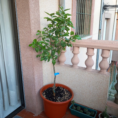 Imagen de Vivero Al Natural situado en Casavieja, Ávila