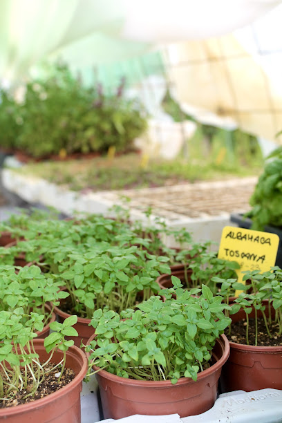 Imagen de Vivero Almoradux wild herbs situado en Las Pitas, Córdoba