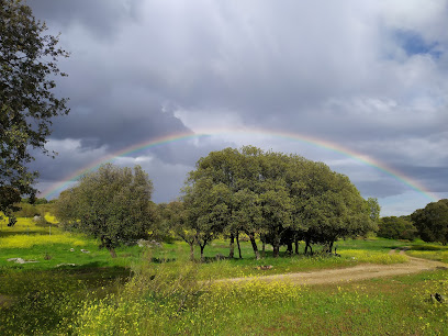 Imagen de Vivero Arroyo de la Dehesa situado en Navalagamella, Madrid