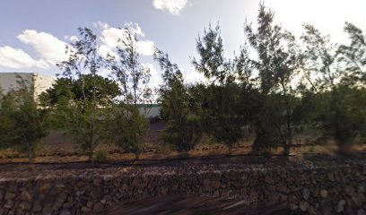 Imagen de Vivero Ayuntamiento de Arrecife situado en Teguise, Las Palmas