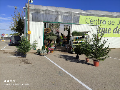 Imagen de Vivero ,Centro De Jardineria Boutique Del Cactus,Purias situado en Purias, Murcia