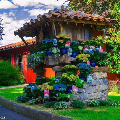 Imagen de Vivero, Centrojardín Ereba situado en Nueva, Asturias