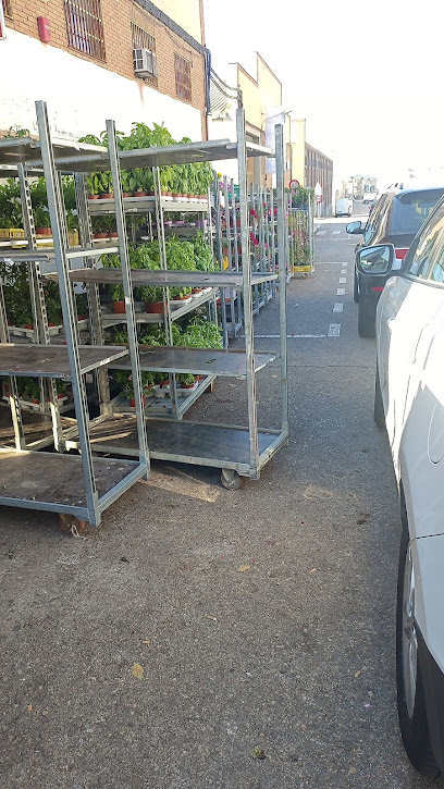 Imagen de Vivero Chino situado en Fuenlabrada, Madrid